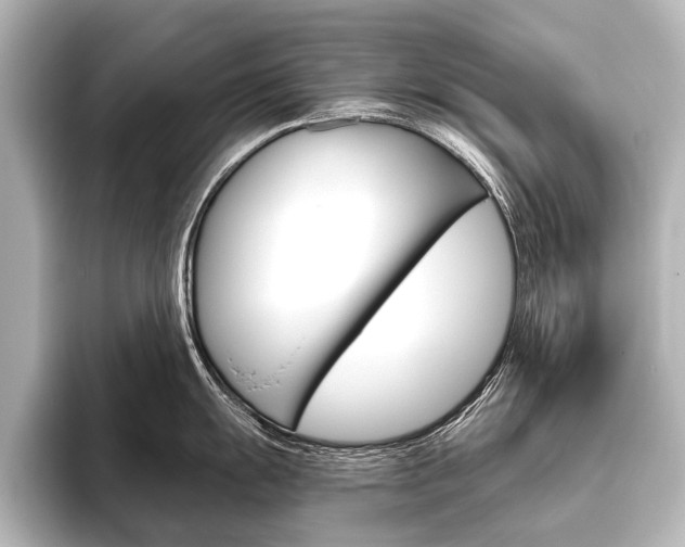 X0000096421055200801240959