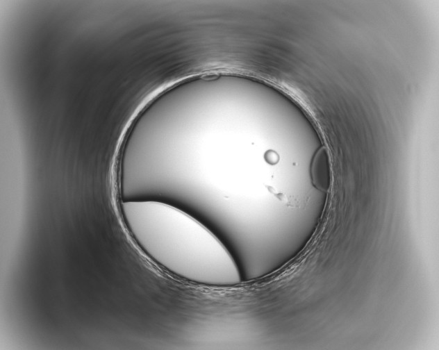 X0000096421056200801241000