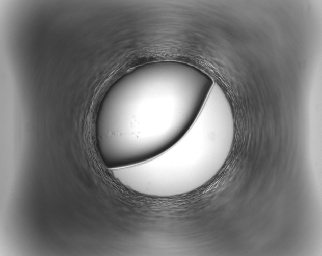 X0000096421057200801240959