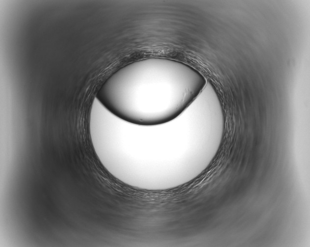 X0000096421058200801240959