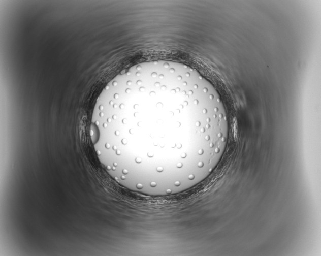 X0000096421059200801240959