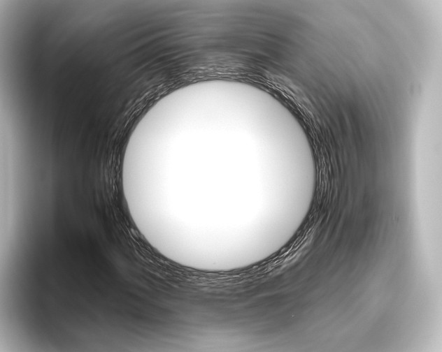 X0000096421060200801240959