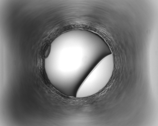 X0000096421061200801240959