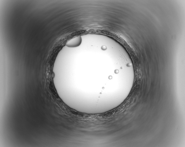 X0000096421063200801240959