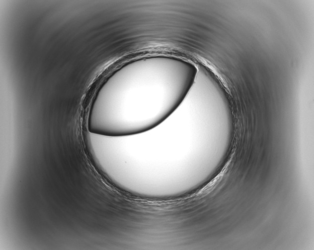 X0000096421066200801240959