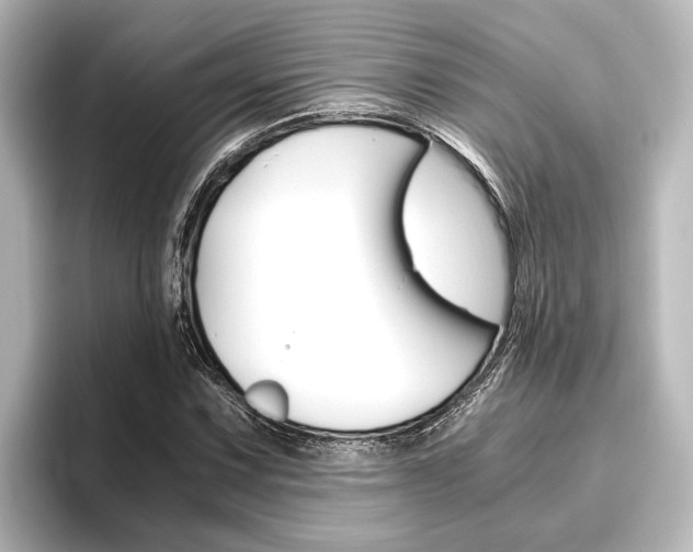 X0000096421067200801240959