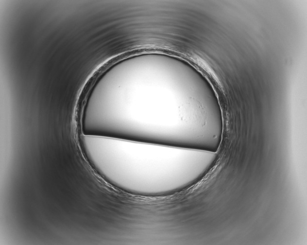 X0000096421068200801240959