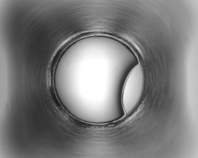 X0000096421069200801240959