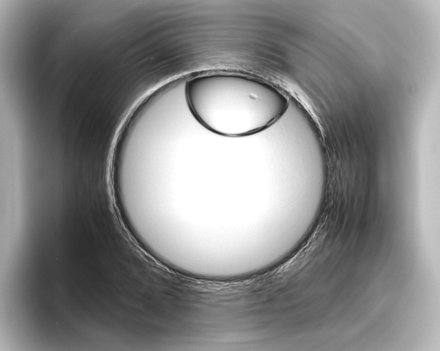 X0000096421072200801240959