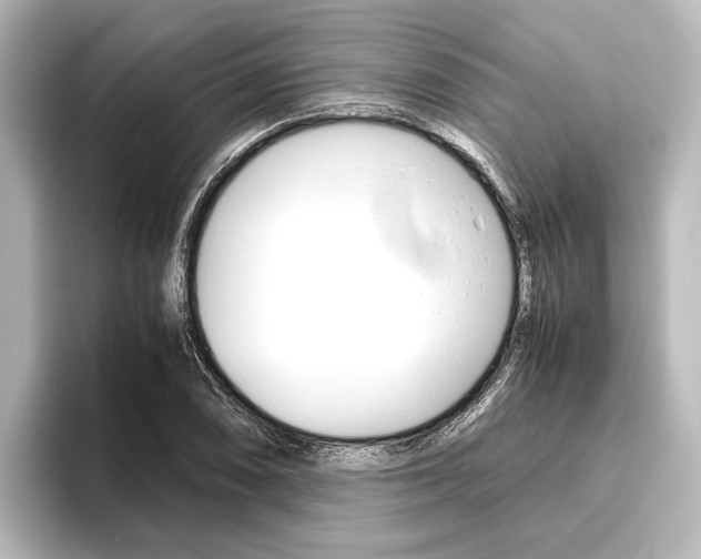 X0000096421074200801240959