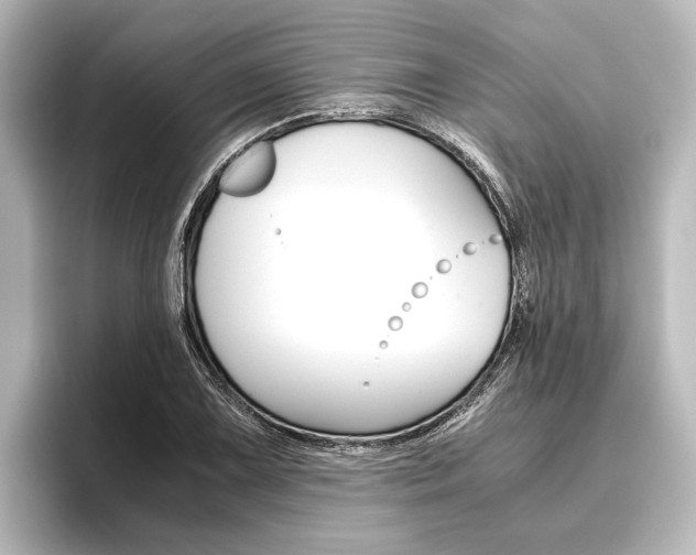 X0000096421075200801240959