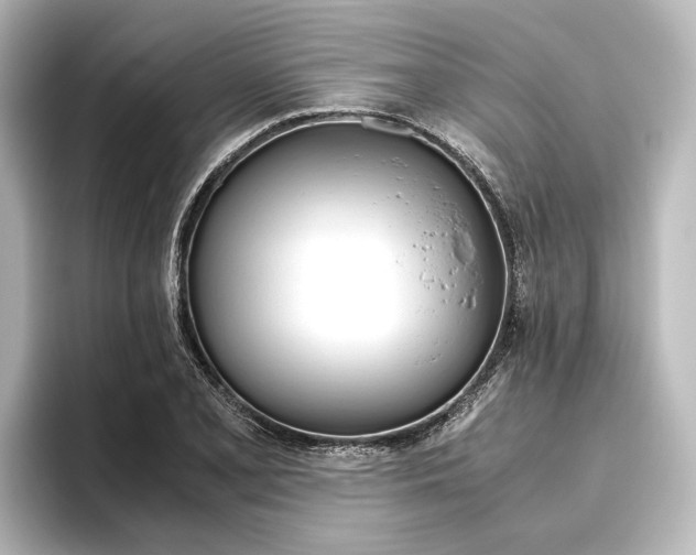 X0000096421077200801240959
