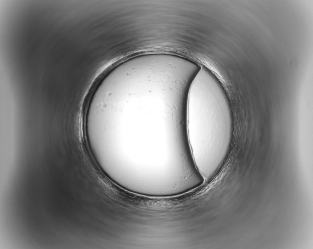 X0000096421079200801240959