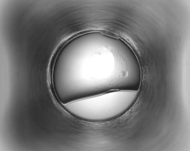 X0000096421080200801240959