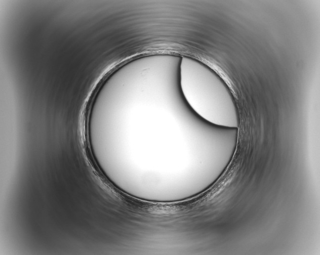 X0000096421083200801240959