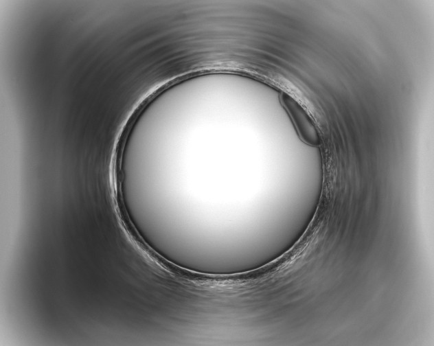 X0000096421084200801240959