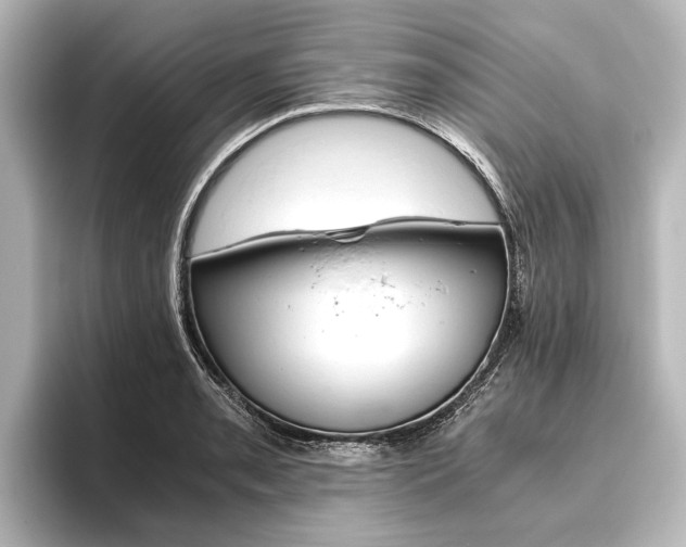 X0000096421085200801240959