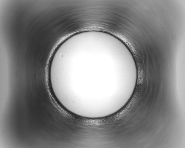 X0000096421086200801240959
