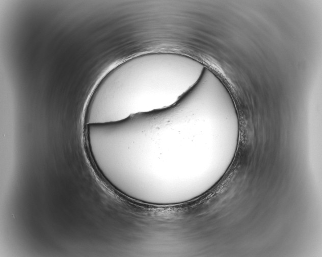 X0000096421087200801240958