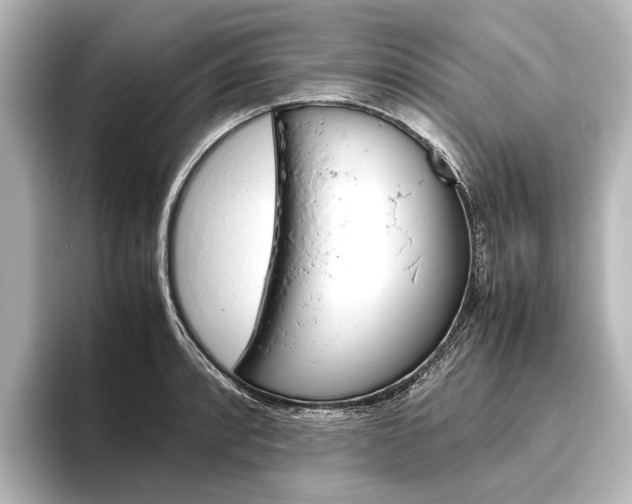 X0000096421088200801240958