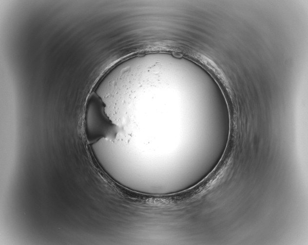 X0000096421089200801240958