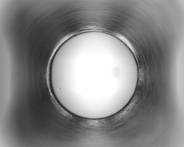 X0000096421098200801240958