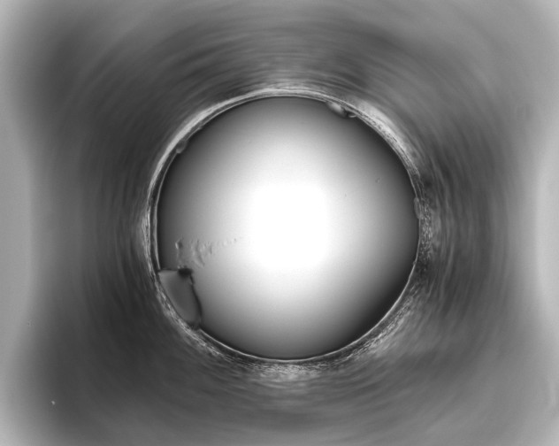 X0000096421100200801240958