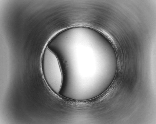 X0000096421102200801240958