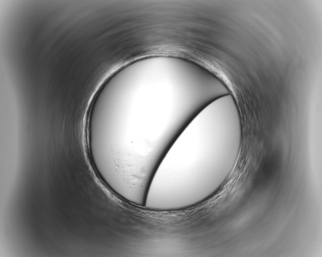 X0000096421103200801240958