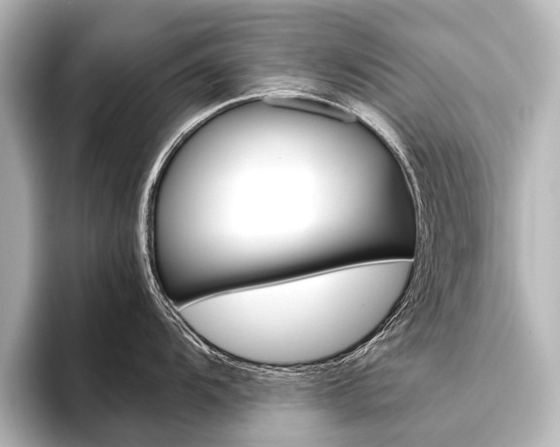 X0000096421104200801240958