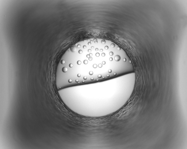 X0000096421105200801240958