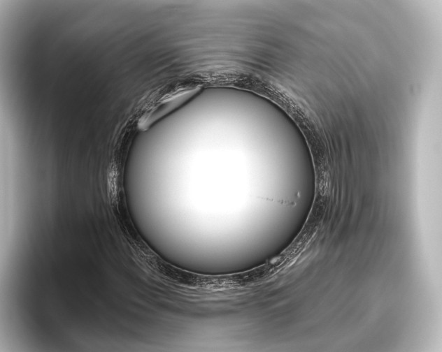 X0000096421108200801240958