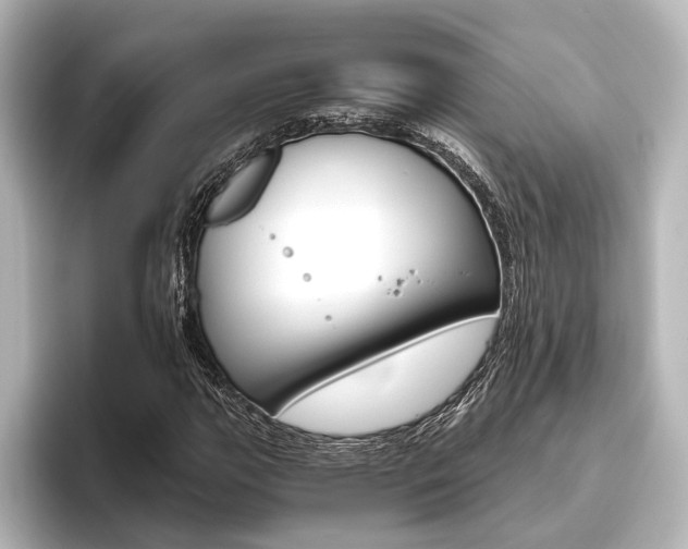 X0000096421111200801240958