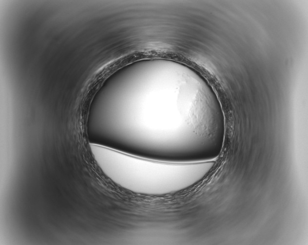 X0000096421112200801240958