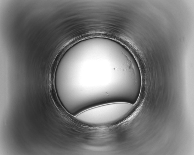 X0000096421113200801240958