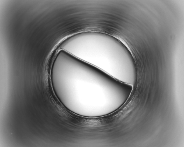X0000096421115200801240958