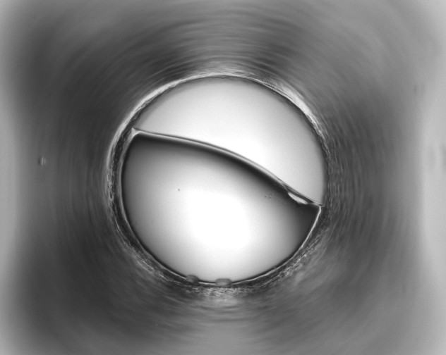 X0000096421116200801240958