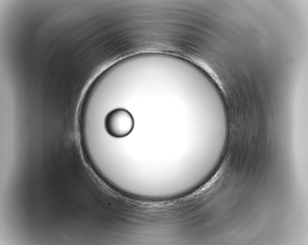 X0000096421122200801240958