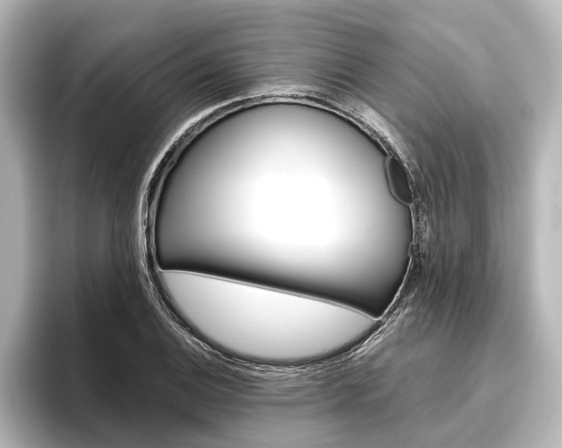X0000096421124200801240958