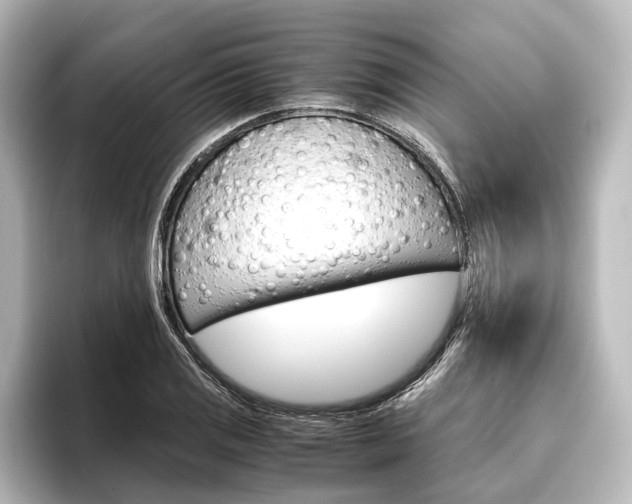X0000096421125200801240958