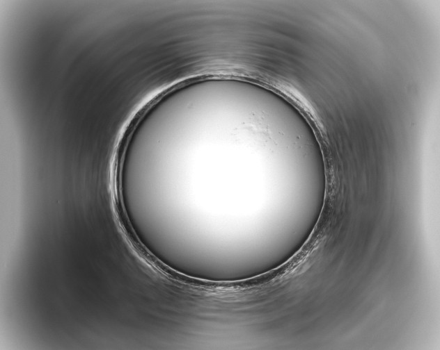 X0000096421128200801240958