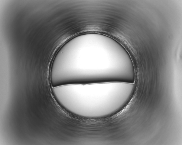 X0000096421129200801240958