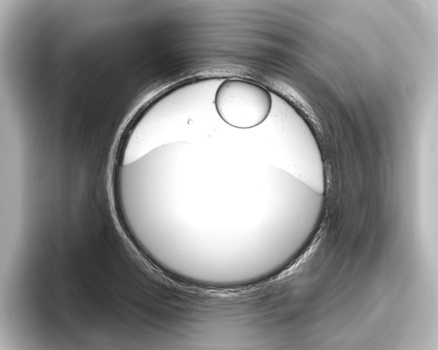 X0000096421130200801240958