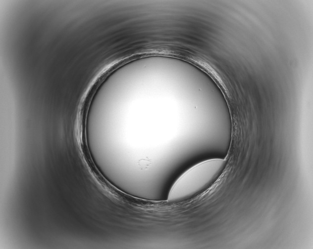 X0000096421131200801240958