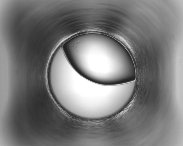 X0000096421133200801240958