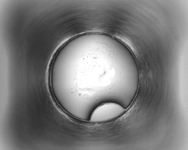 X0000096421135200801240958