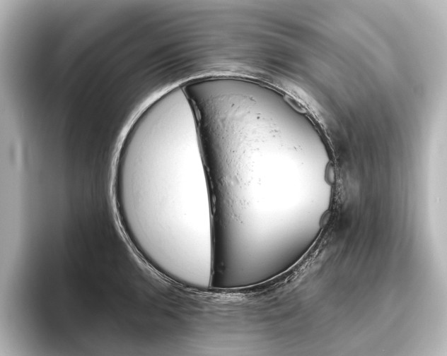 X0000096421136200801240958