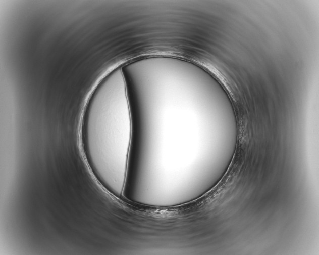 X0000096421139200801240958
