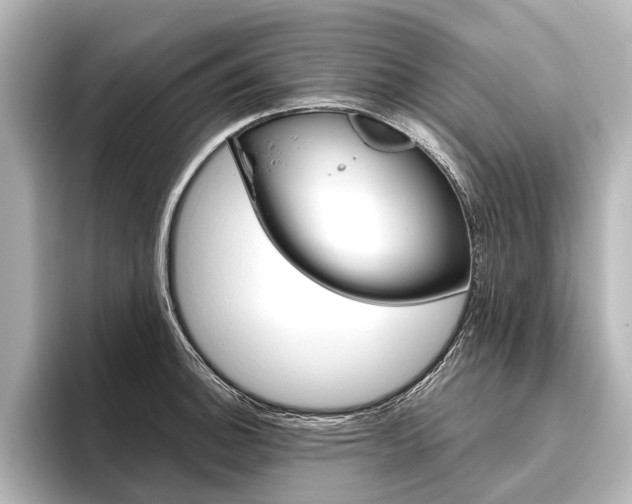X0000096421140200801240958