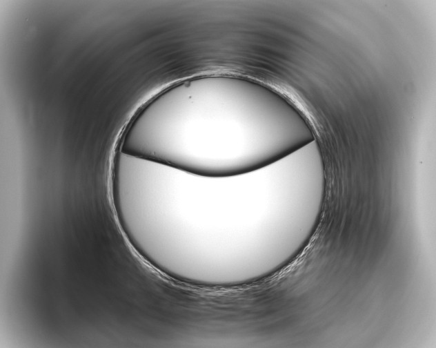 X0000096421143200801240958